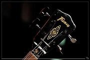 78476 Catfish 28-02-2015 (Zz) (p)